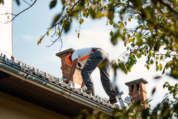 Best Storm Damage Roof Repair  in Crane, MO