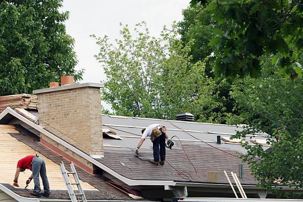 Roof Gutter Cleaning in Crane, MO