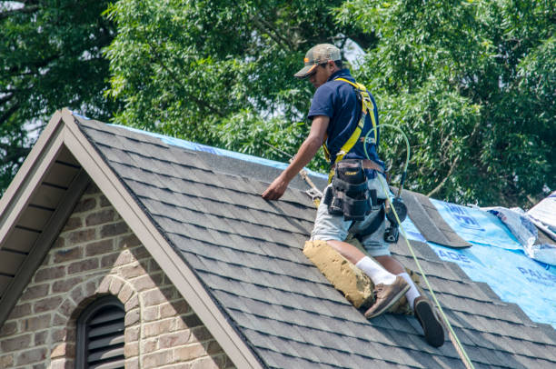 Best Commercial Roofing Services  in Crane, MO